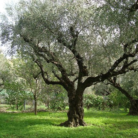 לגאנאס Castelli Hotel-Adults Only מראה חיצוני תמונה