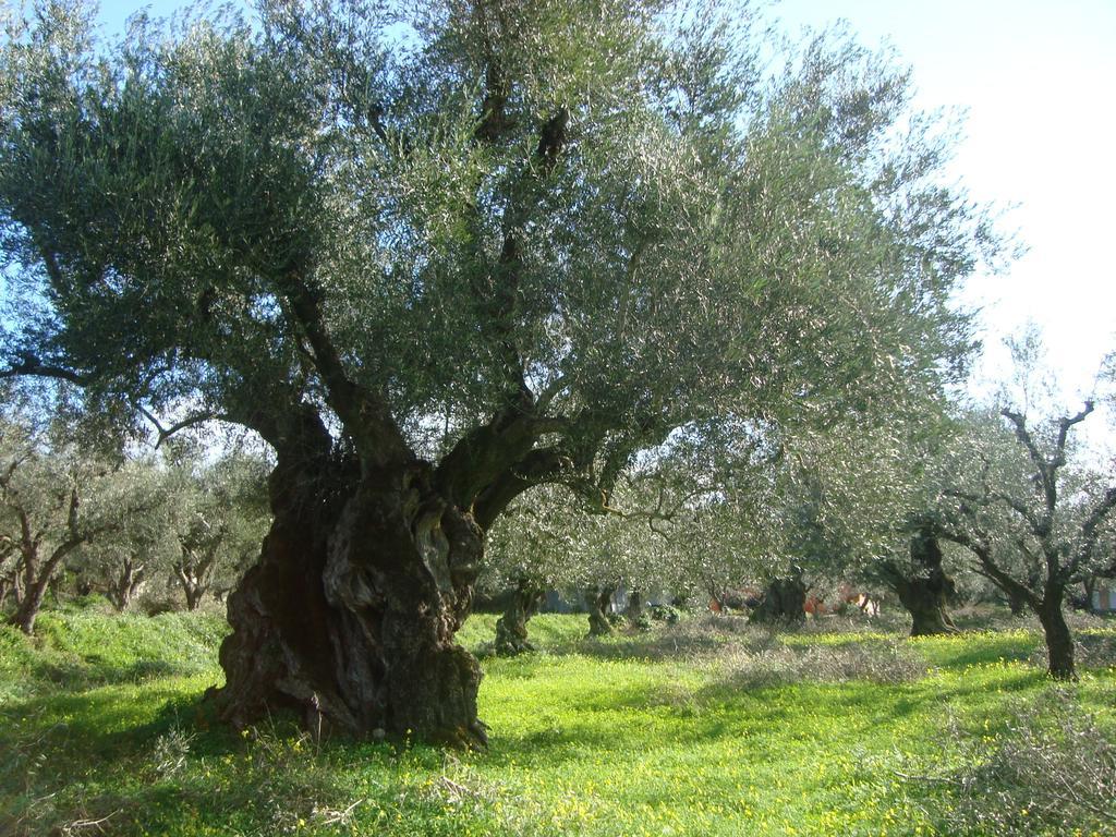 לגאנאס Castelli Hotel-Adults Only מראה חיצוני תמונה